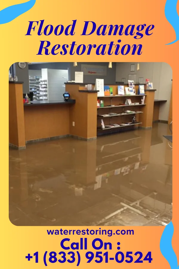 Flood Damage Restoration in South Bethany, DE
