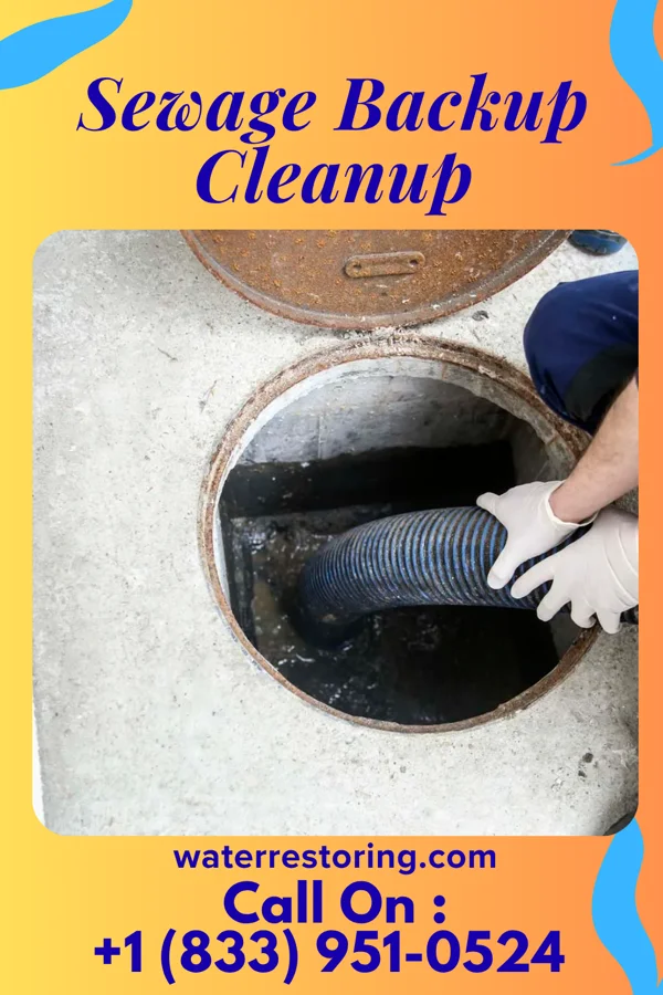 Sewage Backup Cleanup in South Bethany, DE