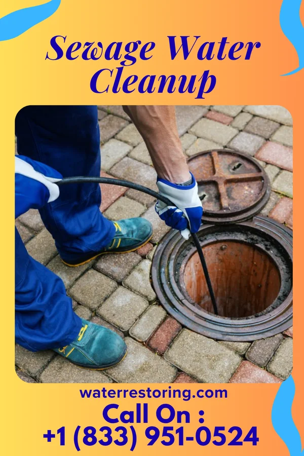 Sewage Water Cleanup in South Bethany, DE