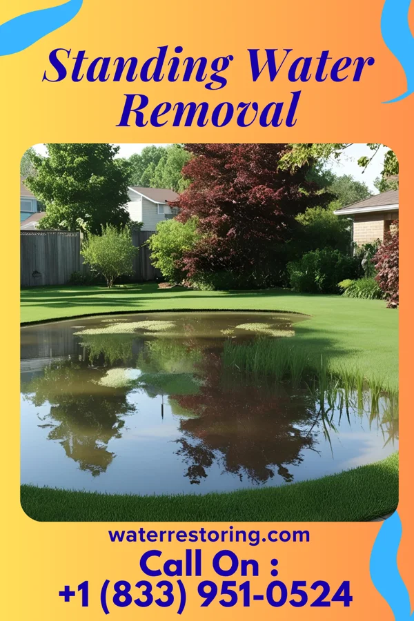 Standing Water Removal in South Bethany, DE